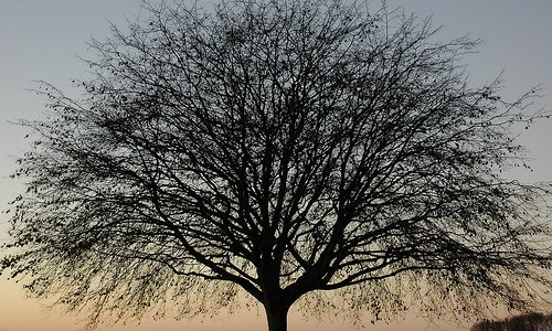 Good Outsource Businesses photos