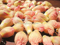 import from china to uk