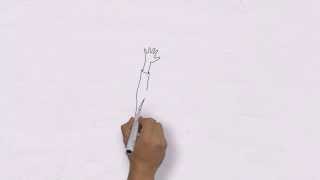 The Procurement Procedure The Procurement Procedure