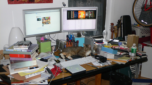 Cool International China Purchasing Office images Cool International China Purchasing Office images