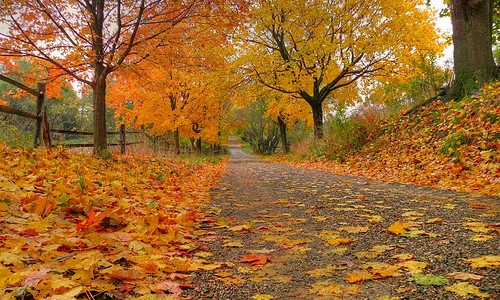 country road