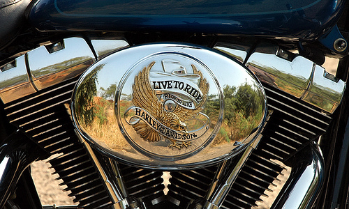 Live to Ride Ride to Reside Live to Ride Ride to Reside