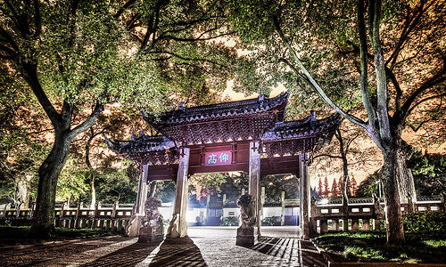 Cool Shanghai Sourcing images