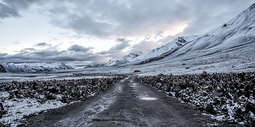 Snow Rocks Snow Rocks