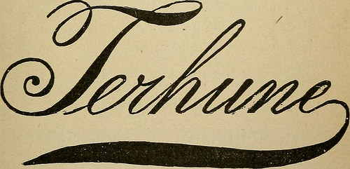 Image from web page 966 of “Medical directory of New York, New Jersey and Connecticut” (1899) Image from web page 966 of “Medical directory of New York, New Jersey and Connecticut” (1899)